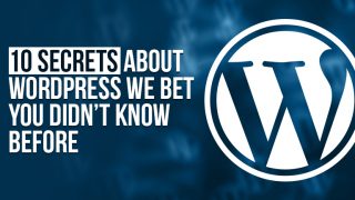 No More Boring Designs – 5 Secrets of Professional Web Designers for Selecting WordPress Themes