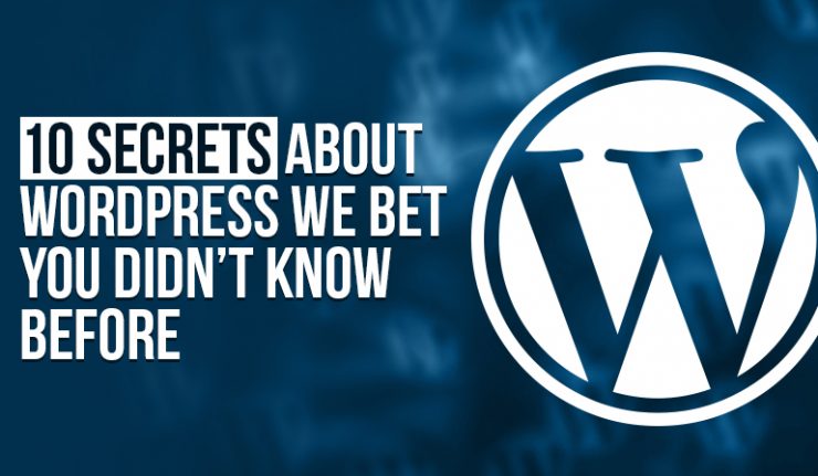 No More Boring Designs – 5 Secrets of Professional Web Designers for Selecting WordPress Themes